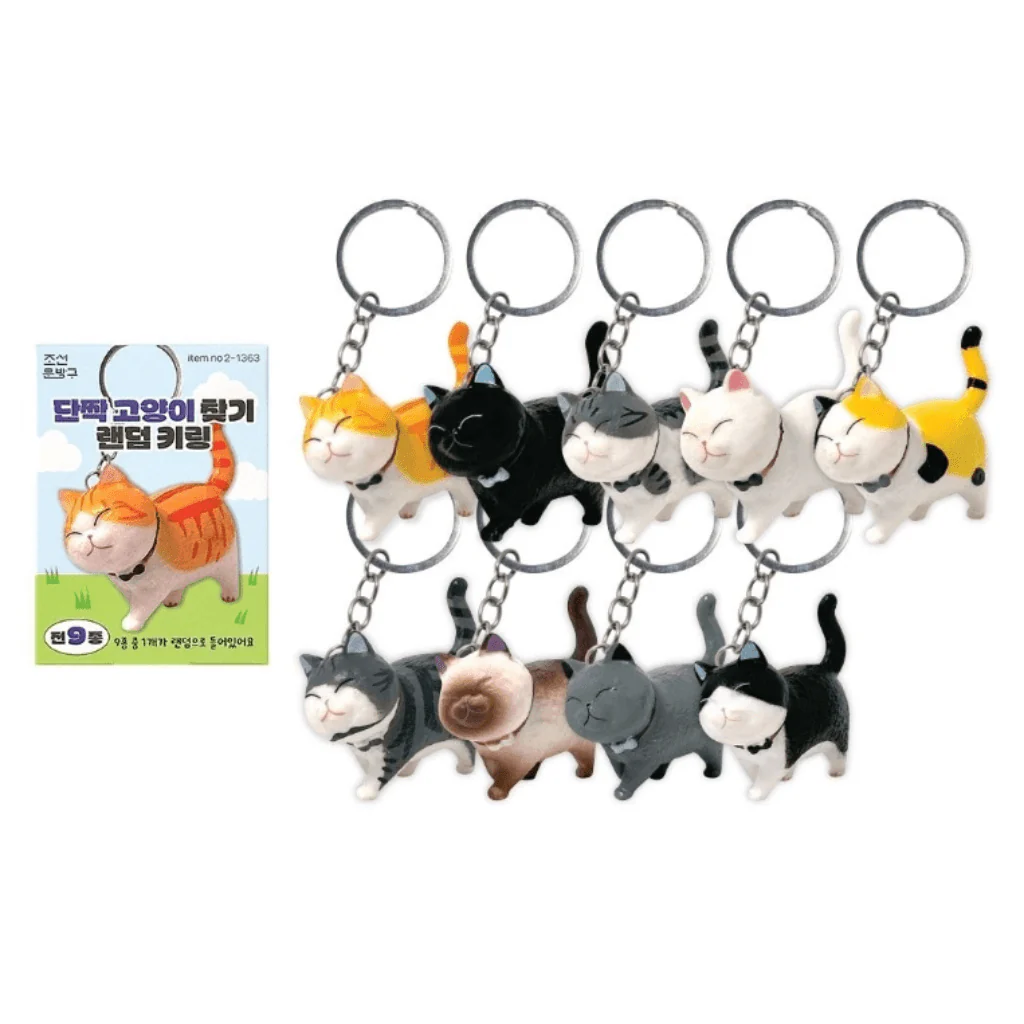 Best Friend Cat Figure Collectable Keyring Blind Box - Image 6