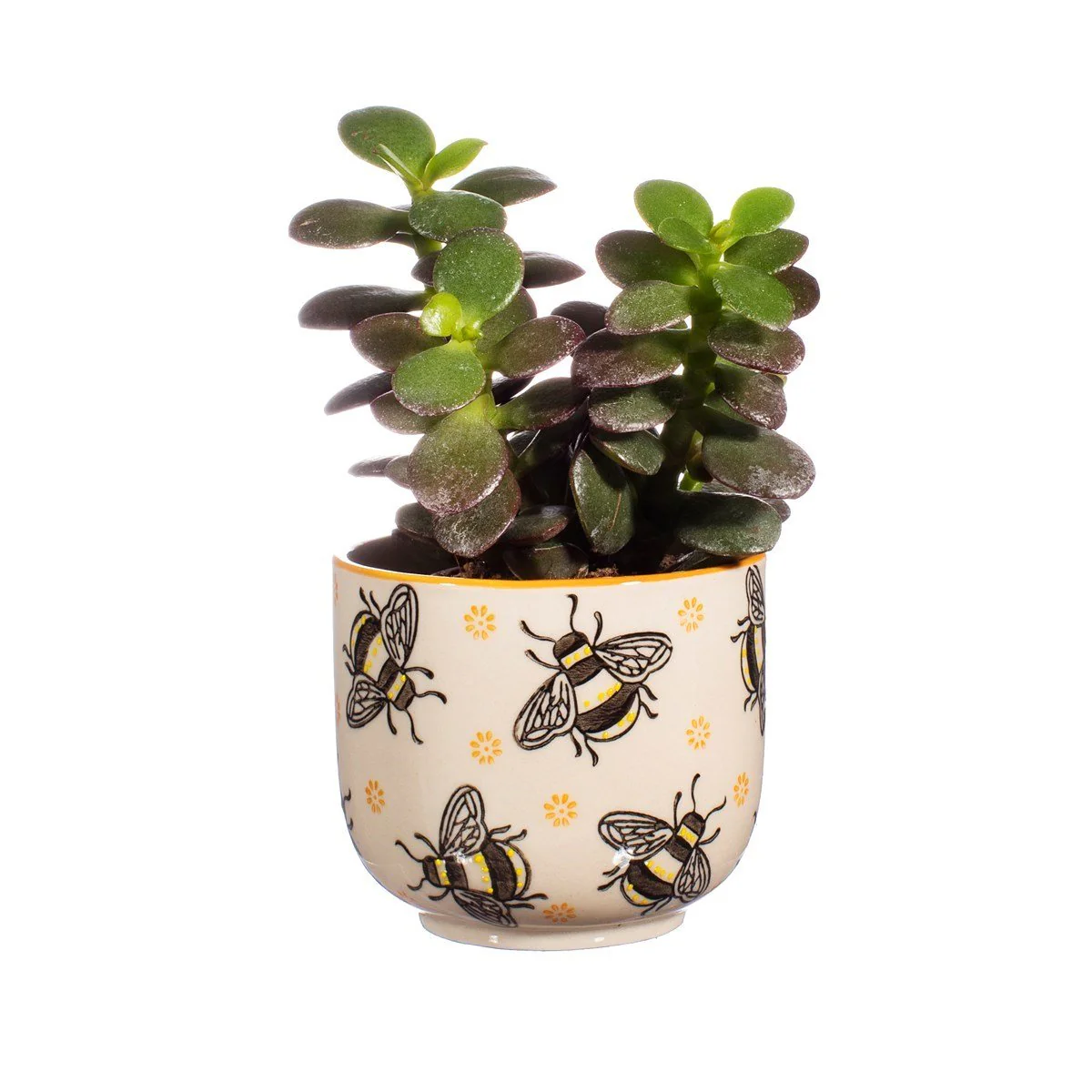 Sass and Belle Busy Bees Small Planter - Image 2