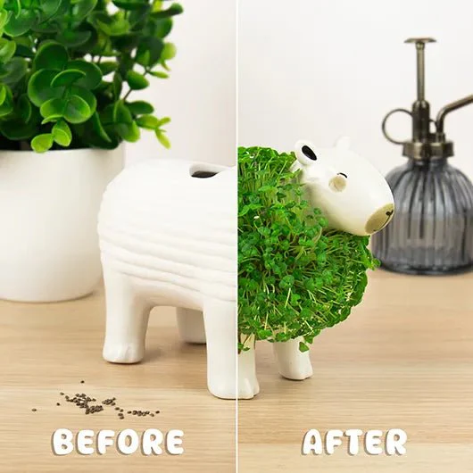 Capybara Chia Planter Grow Kit - Image 6