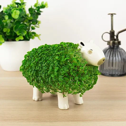 Capybara Chia Planter Grow Kit - Image 7