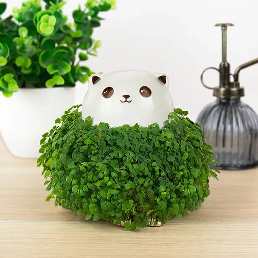 Cat Chia Planter Grow Kit - Image 6