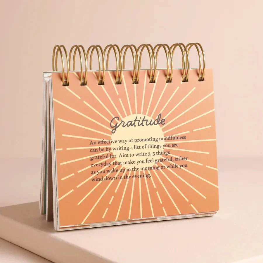 Lisa Angel Daily Mindfulness Flip Chart - Image 2