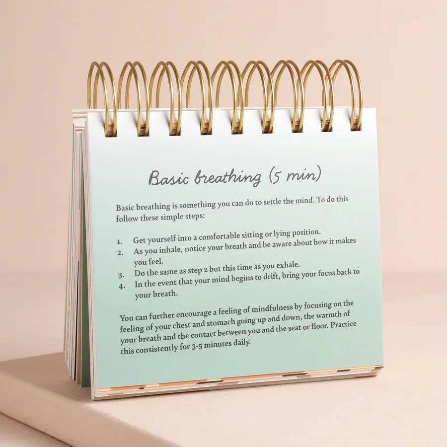 Lisa Angel Daily Mindfulness Flip Chart - Image 5