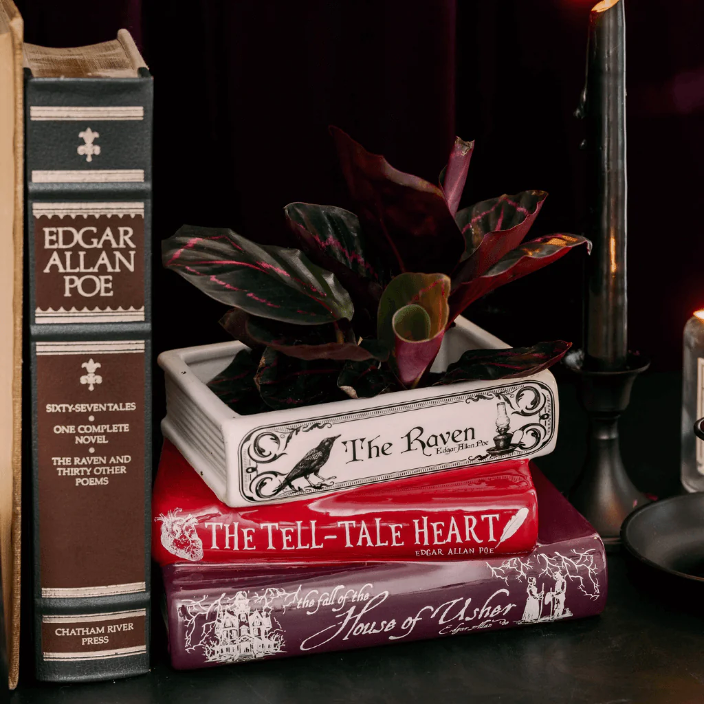 Edgar Allan Poe Stacked Books Planter - Image 4