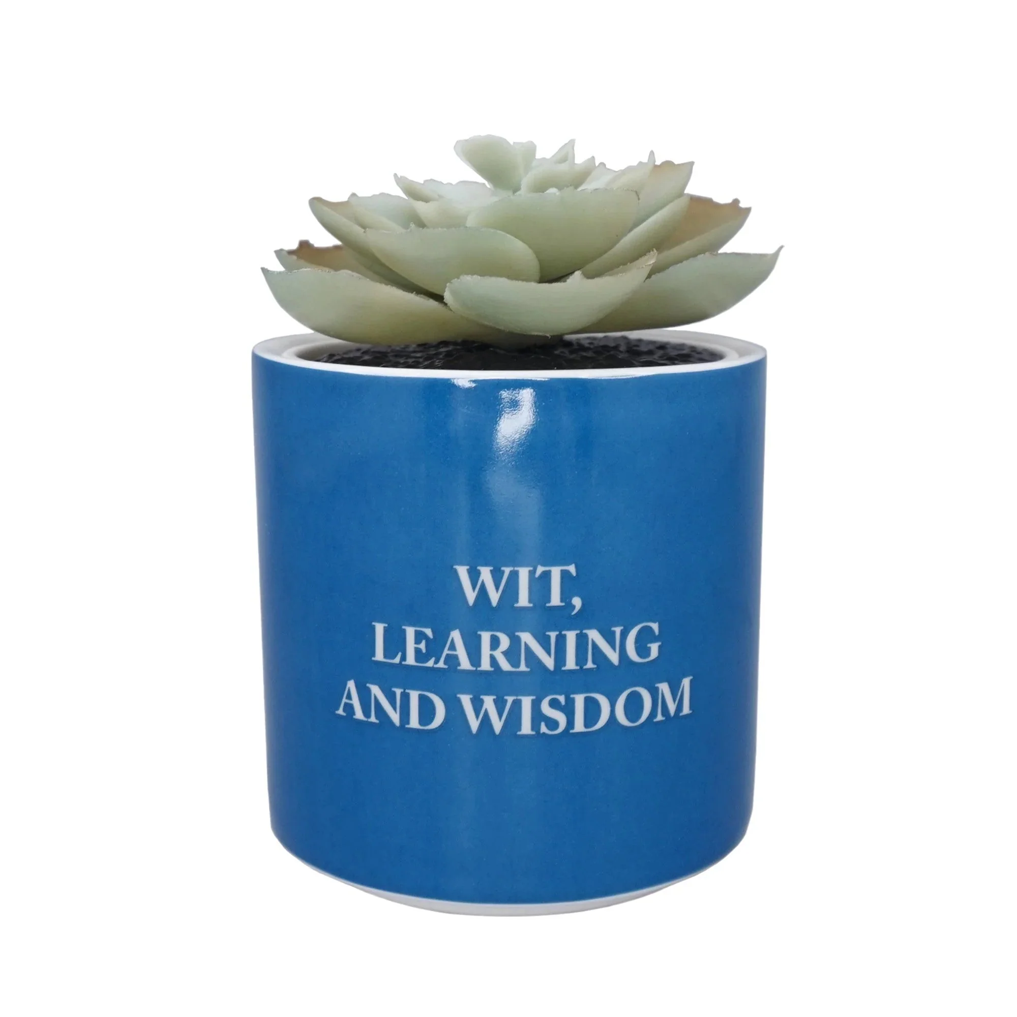 Harry Potter Faux Plant Pot - Ravenclaw - Image 2