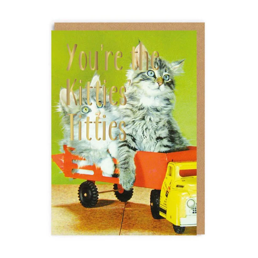 Kitties Titties Funny Greeting Card