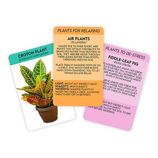 Lifestyle Cards - Positive Plants - Image 2