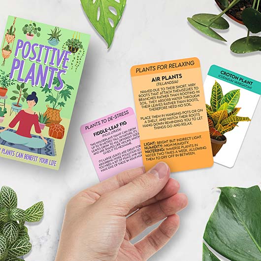 Lifestyle Cards - Positive Plants - Image 3