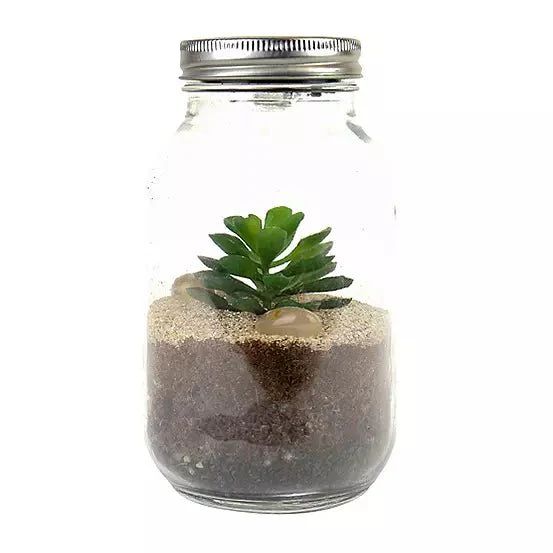 Light-up Terrarium - Image 3