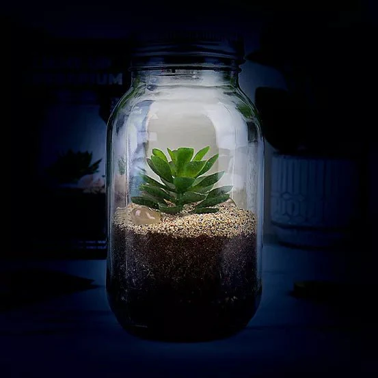 Light-up Terrarium - Image 4