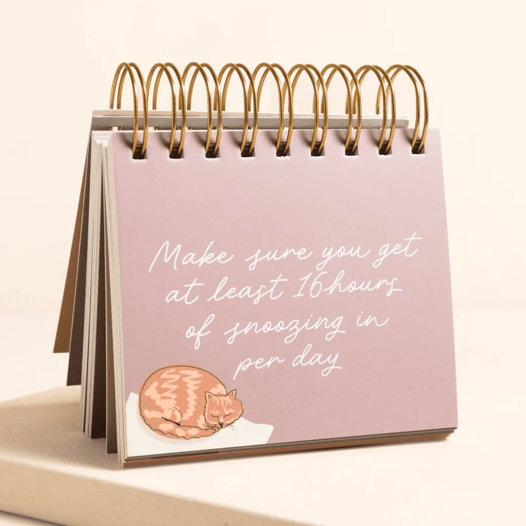 Lisa Angel Be More Cat Desktop Flip Chart - Image 2