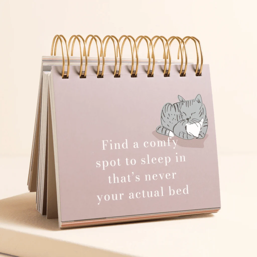 Lisa Angel Be More Cat Desktop Flip Chart - Image 4