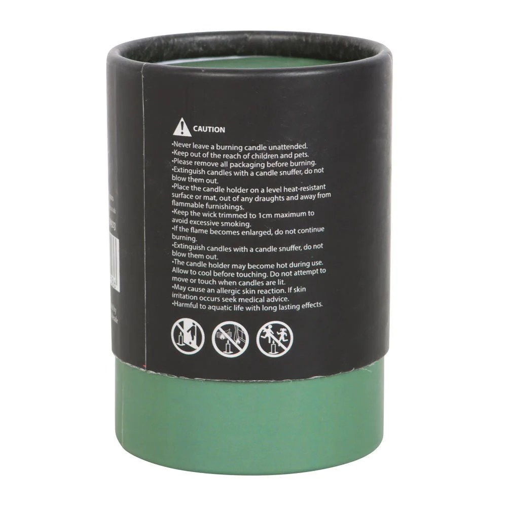 Luna Moth White Sage Candle - Image 6