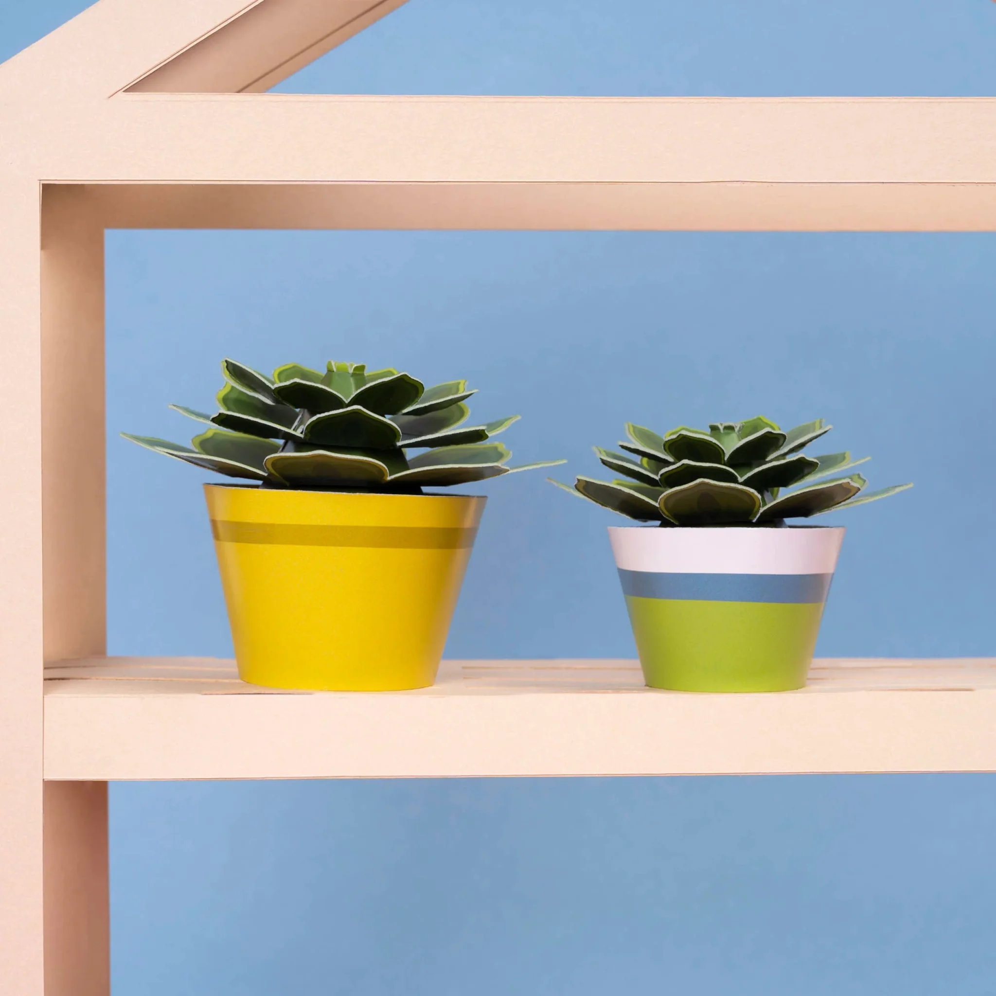 Make Your Own Soothing Succulent Paper Plant Kit - Image 3