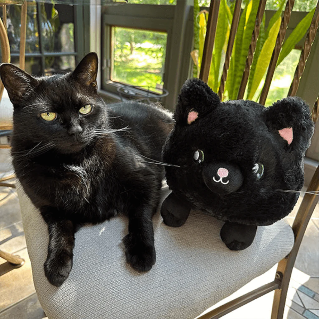Mini Squishable Black Kitty - Image 4
