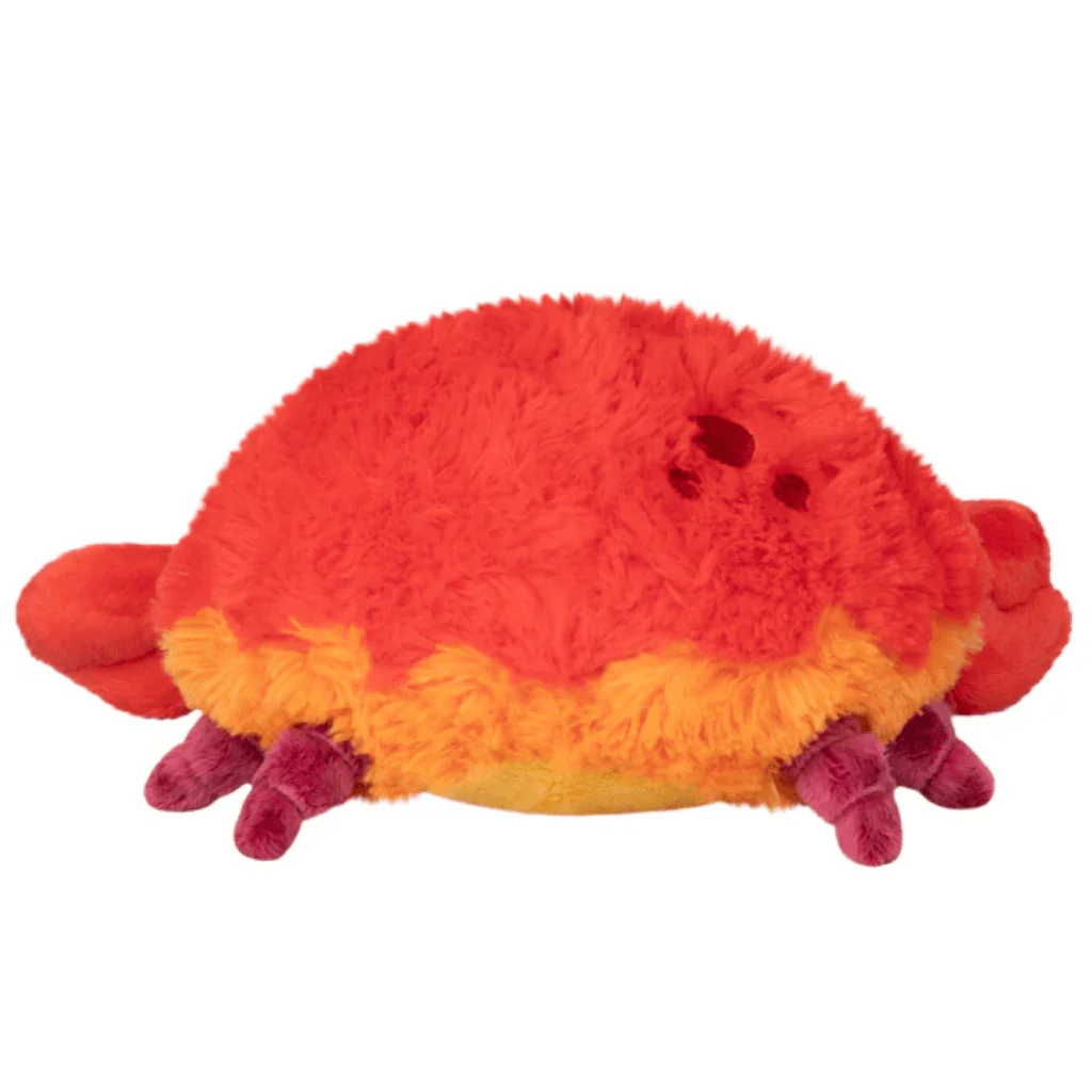 Mini Squishable Crab - Image 3