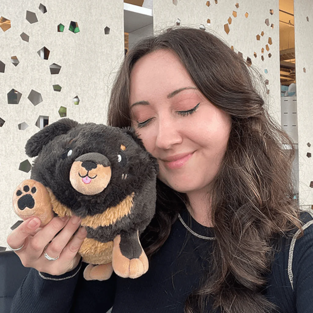 Mini Squishable Fluffy Dachshund - Image 5