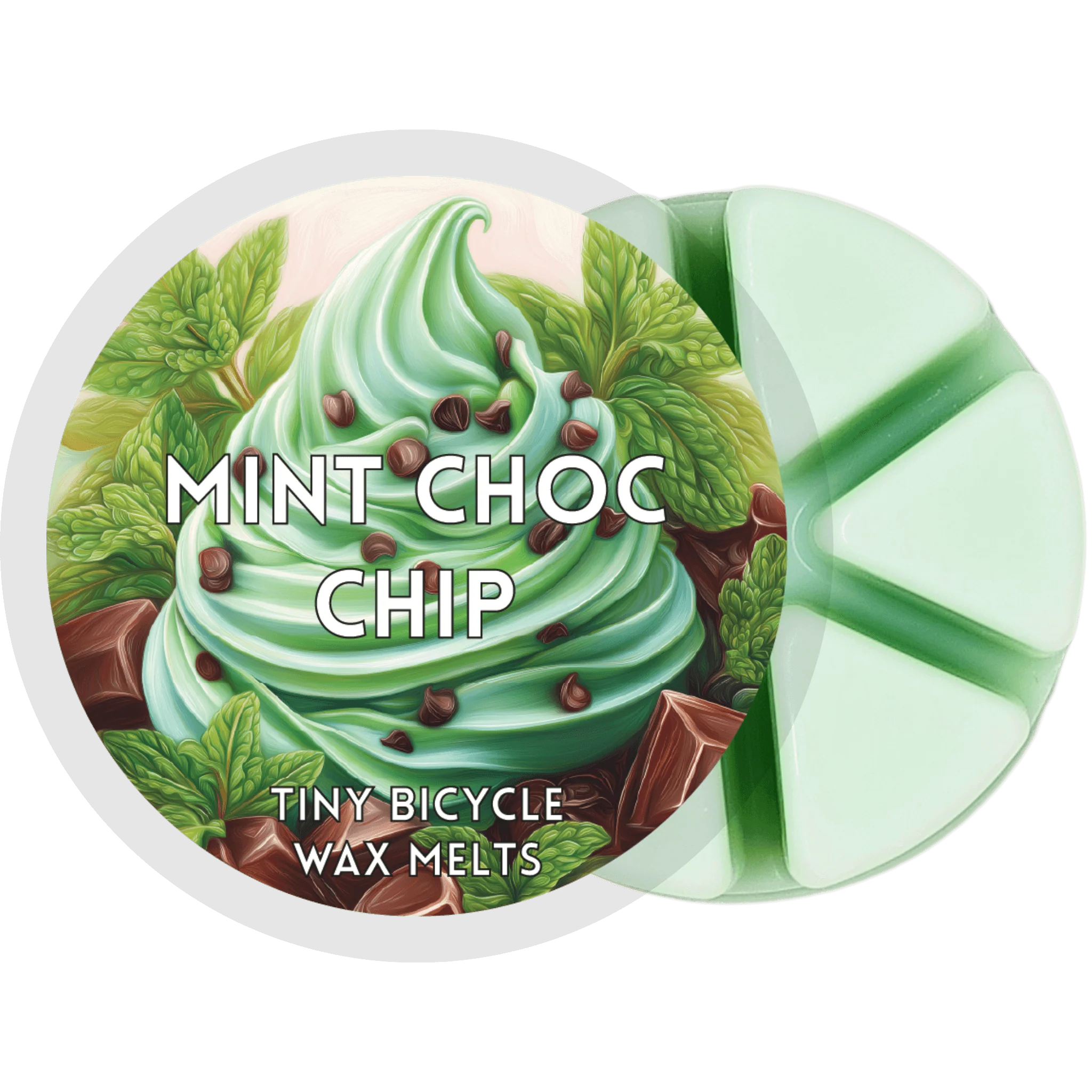 Mint Choc Chip Segment Wax Melt