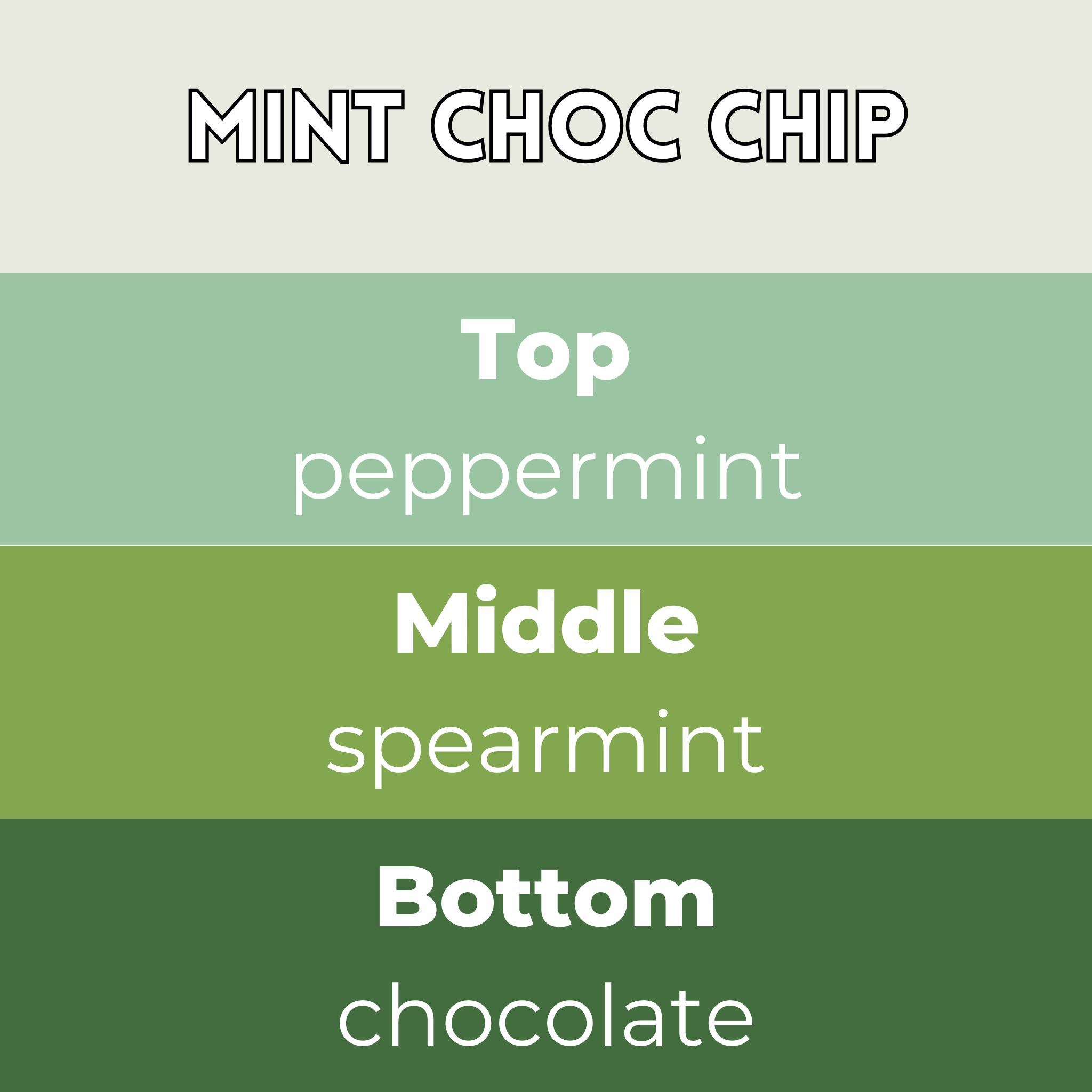 Mint Choc Chip Segment Wax Melt - Image 2