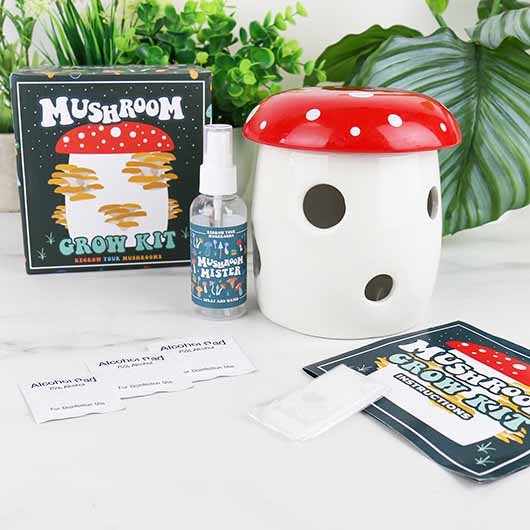 Mushroom Grow Kit - Image 2
