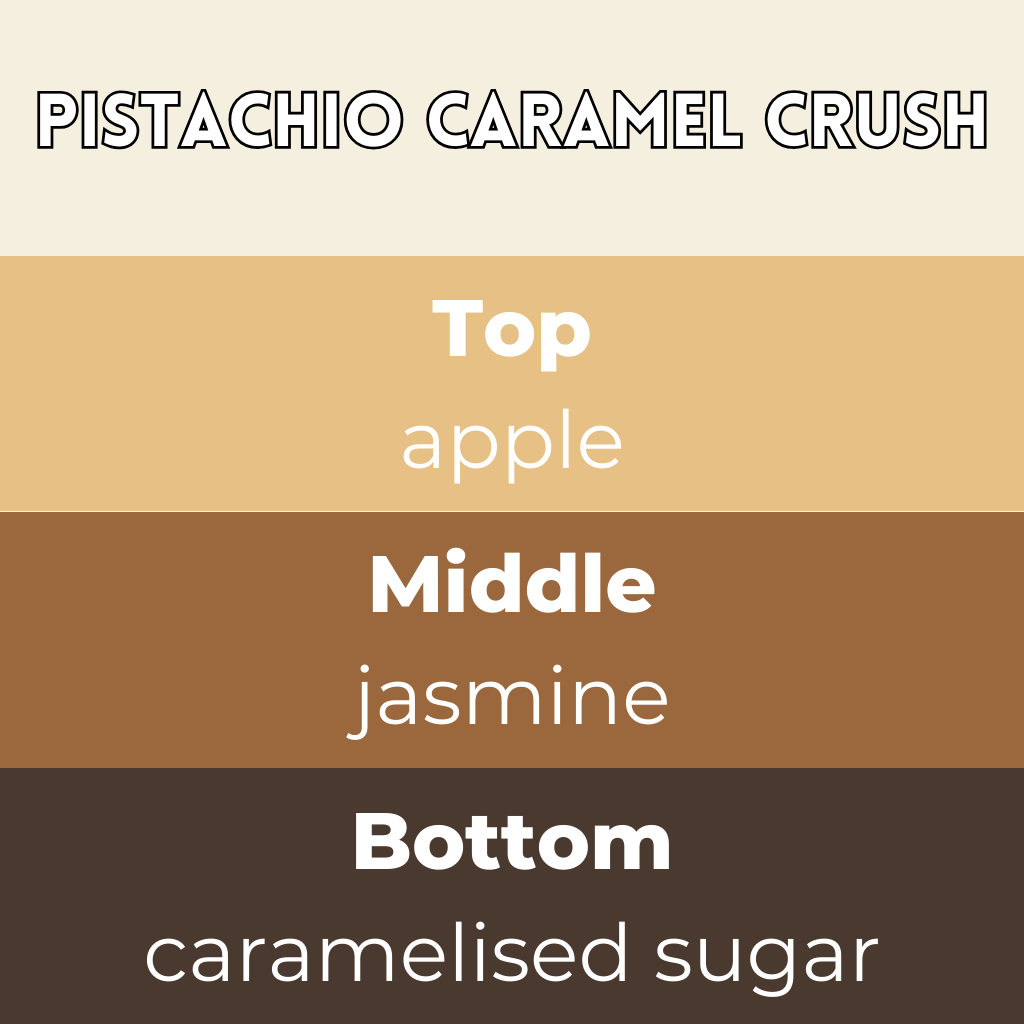Pistachio Caramel Crush Segment Wax Melt - Image 2