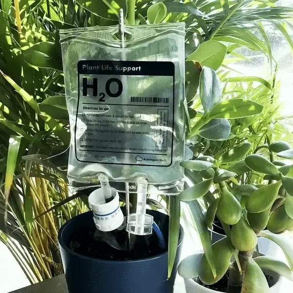 Plant Life Support - Image 3