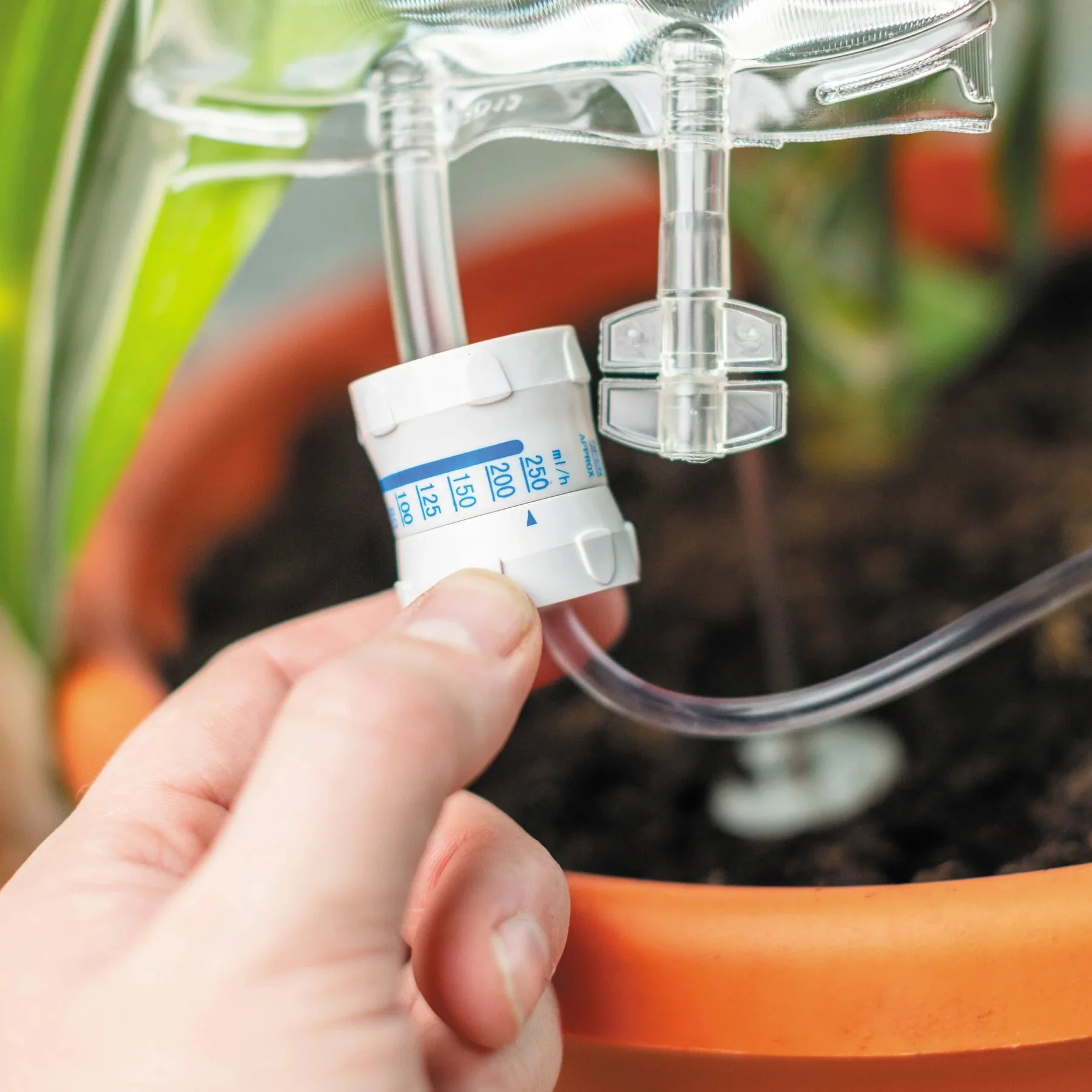 Plant Life Support - Image 4