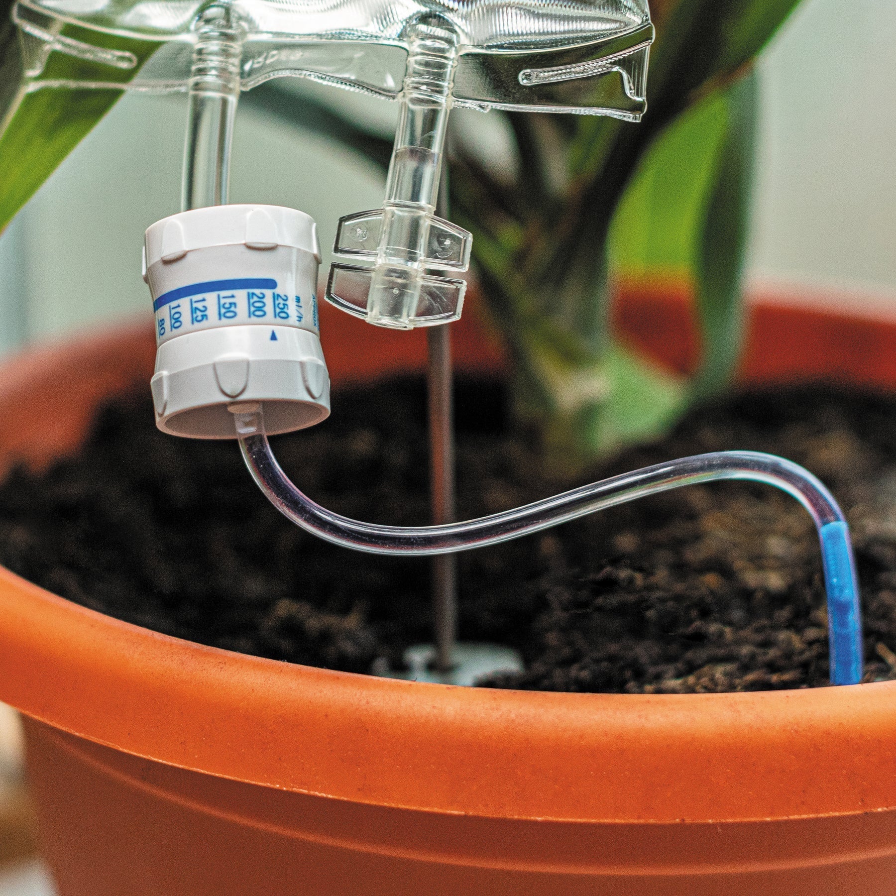 Plant Life Support - Image 5