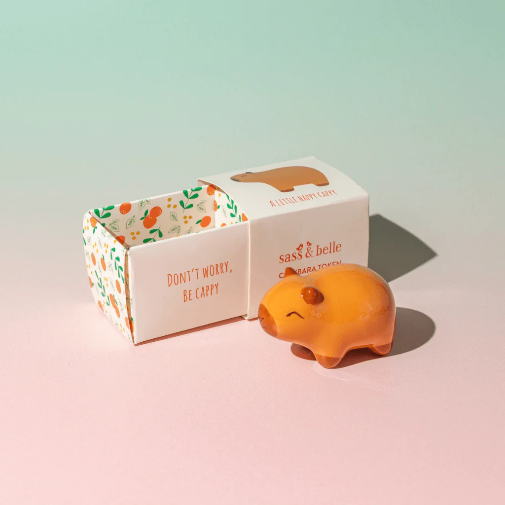 Sass & Belle Capybara Token Pocket Charm Gift - Image 2
