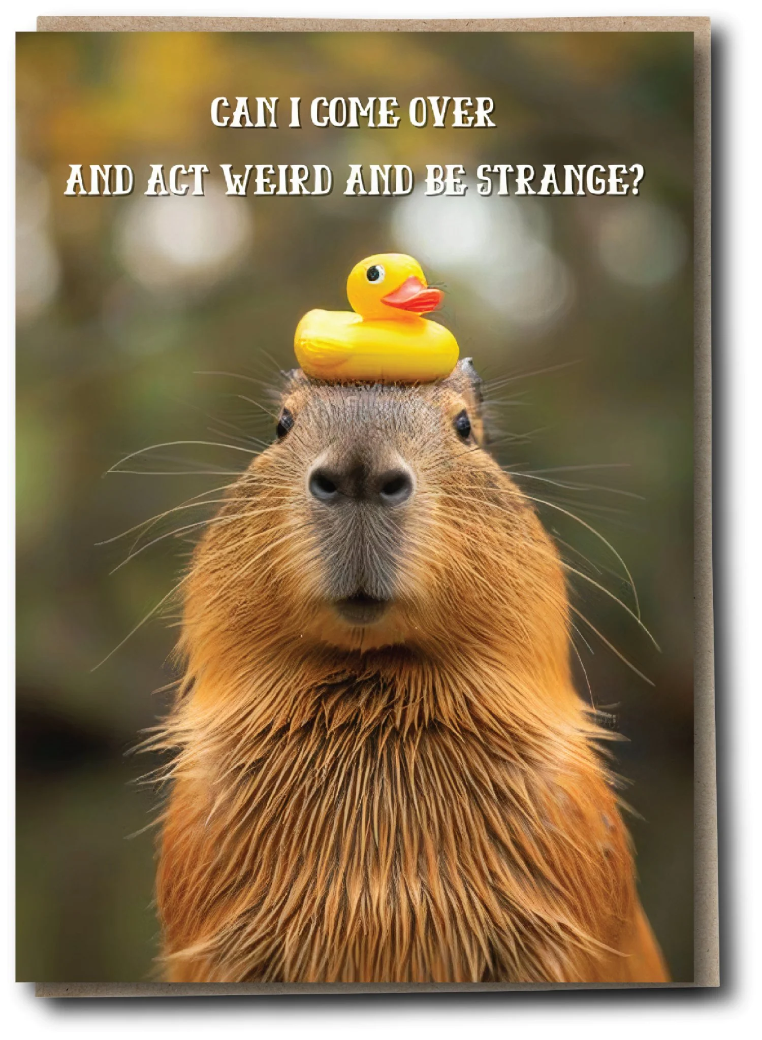 Silly Sausage Cards - Act Weird