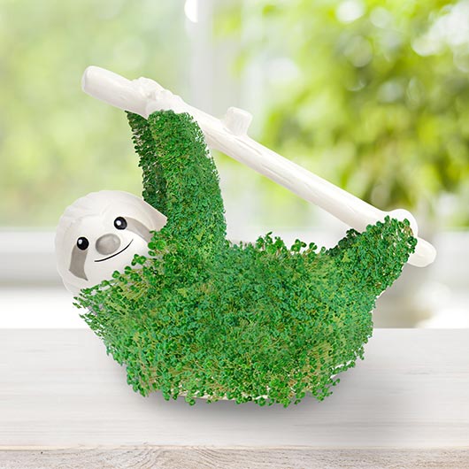 Sloth Chia Planter Grow Kit - Image 3