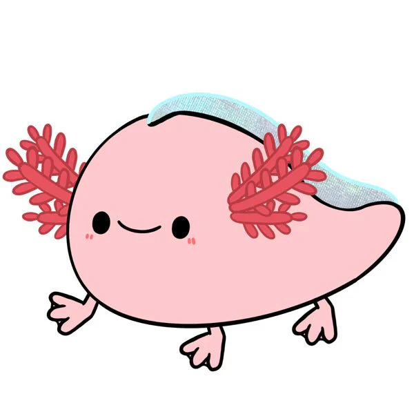 Mini Squishable Baby Axolotl - Image 4