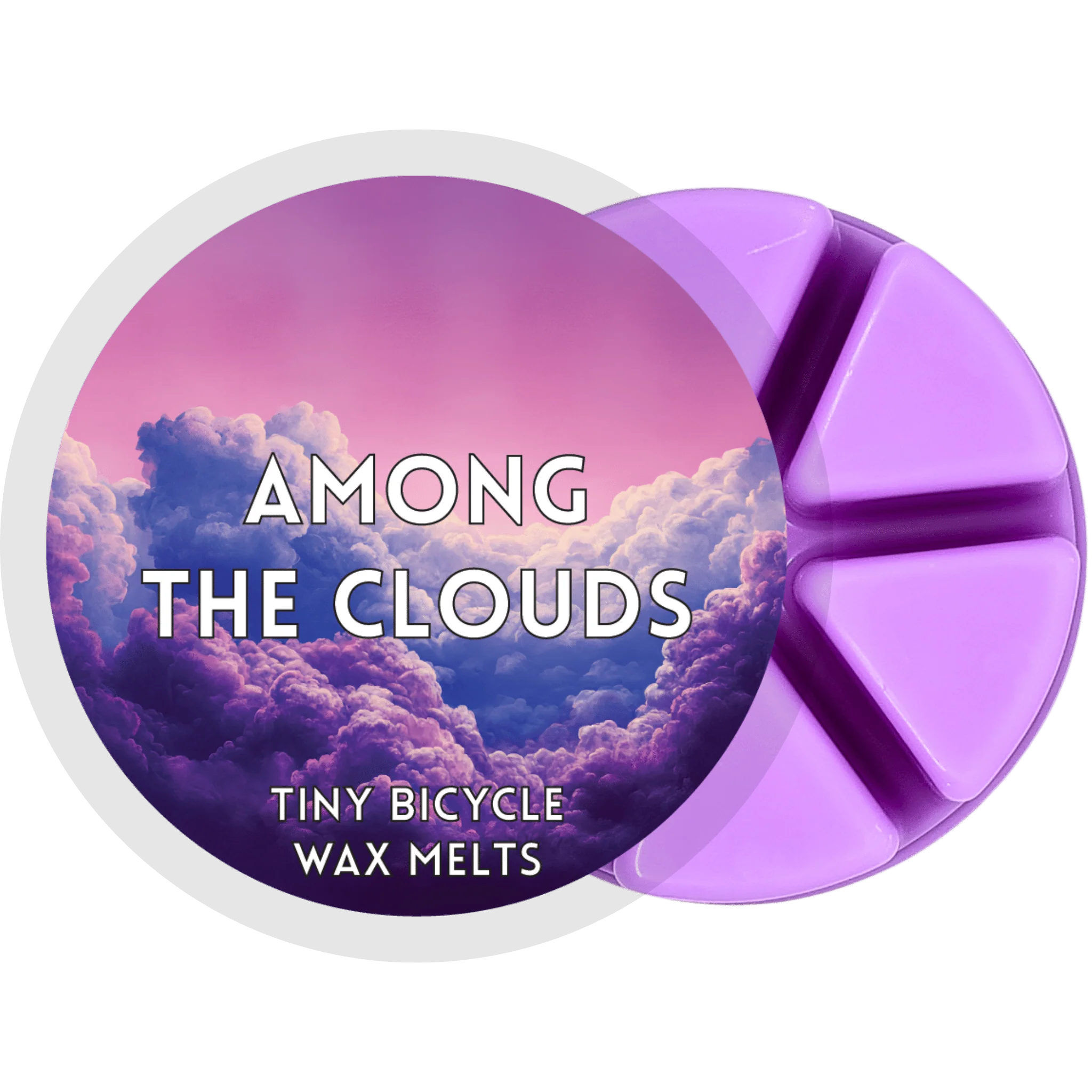Among The Clouds Segment Wax Melt