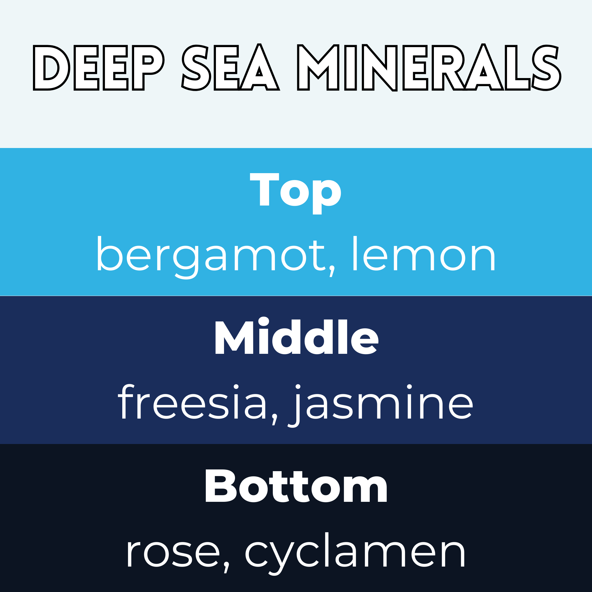 Deep Sea Minerals Segment Wax Melt - Image 2