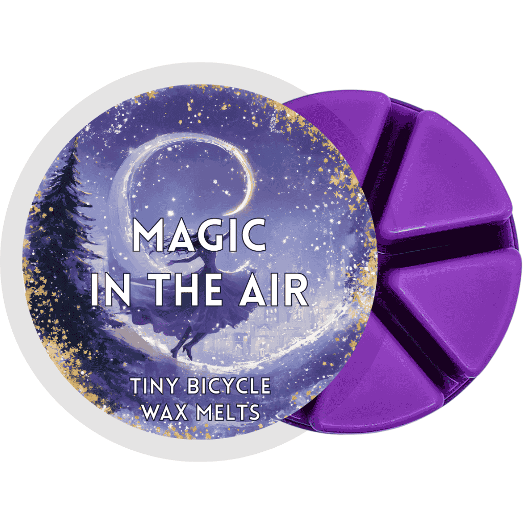 Magic In The Air Segment Wax Melt