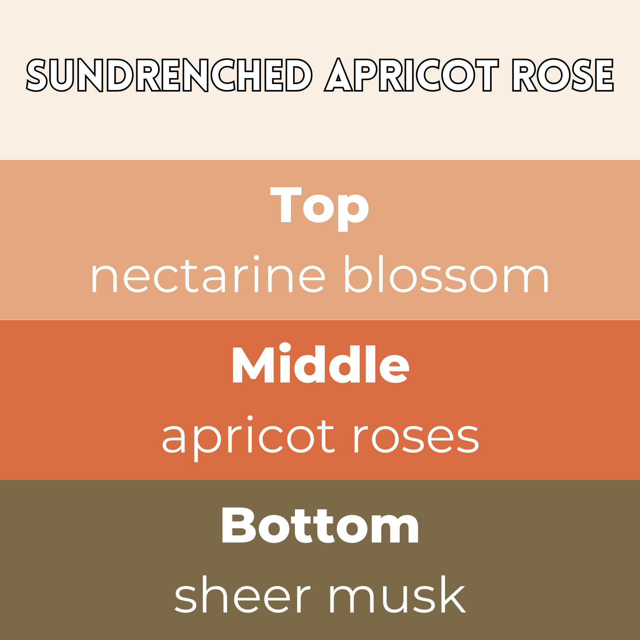 Sundrenched Apricot Rose Segment Wax Melt - Image 2