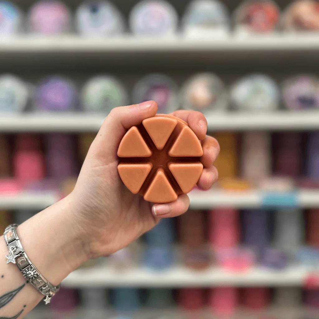 Vintage Bookstore Segment Wax Melt - Image 3