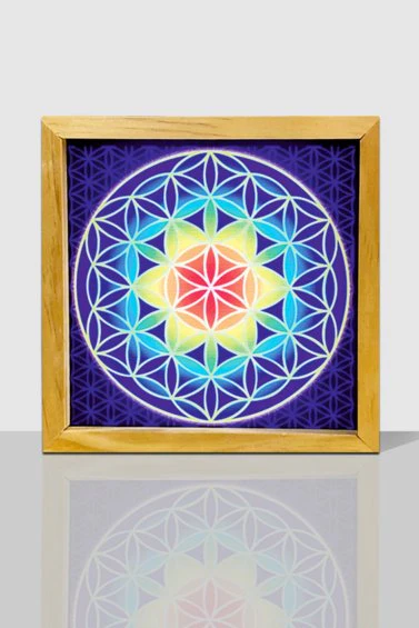 Wild Things Light Frames - Flower Of Life